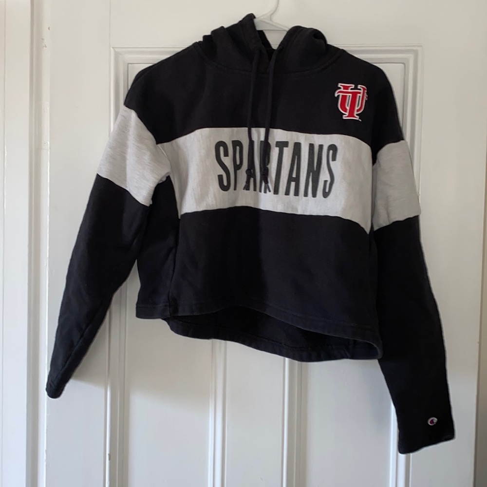 University of Tampa cropped sweatshirt